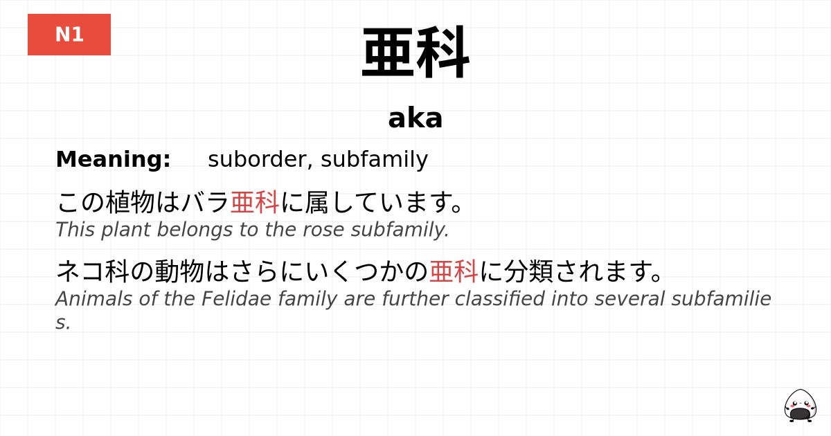 亜科 flashcard