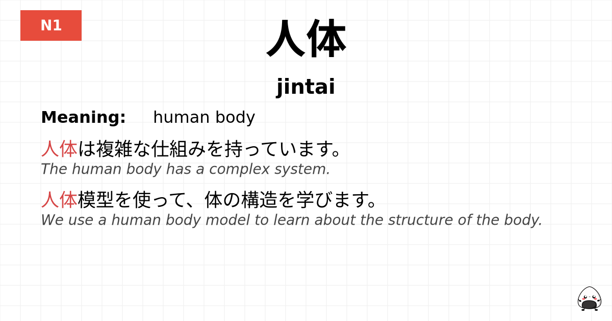 人体 flashcard