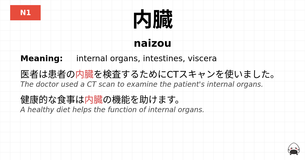 内臓 flashcard