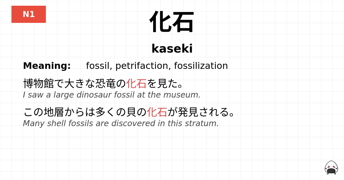 化石 flashcard