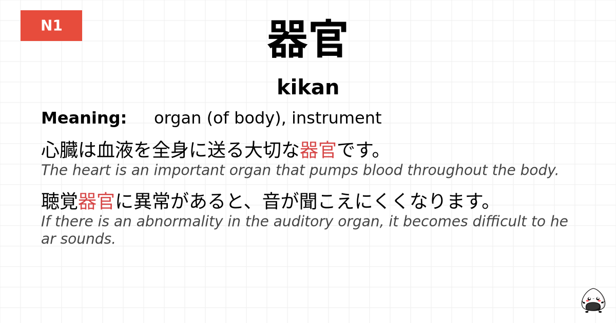 器官 flashcard