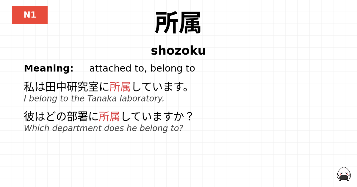 所属 flashcard