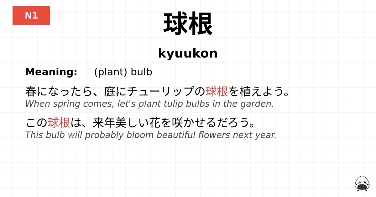 球根 flashcard