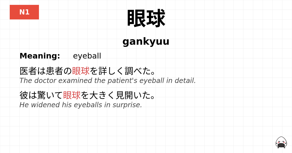 眼球 flashcard