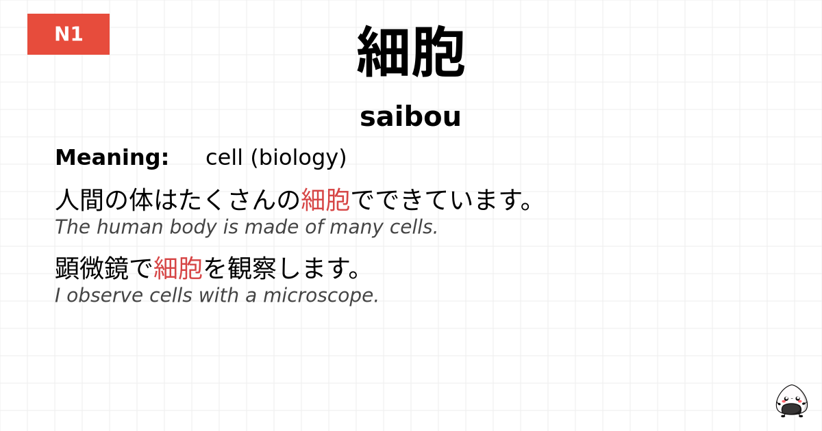 細胞 flashcard