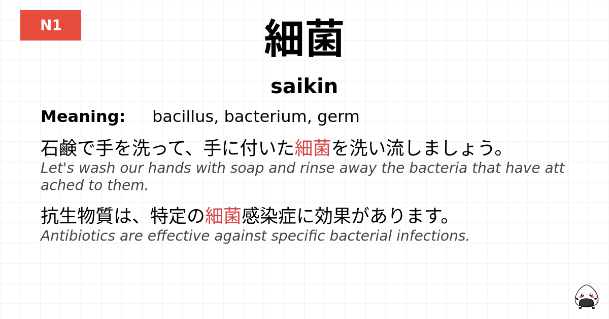 細菌 flashcard
