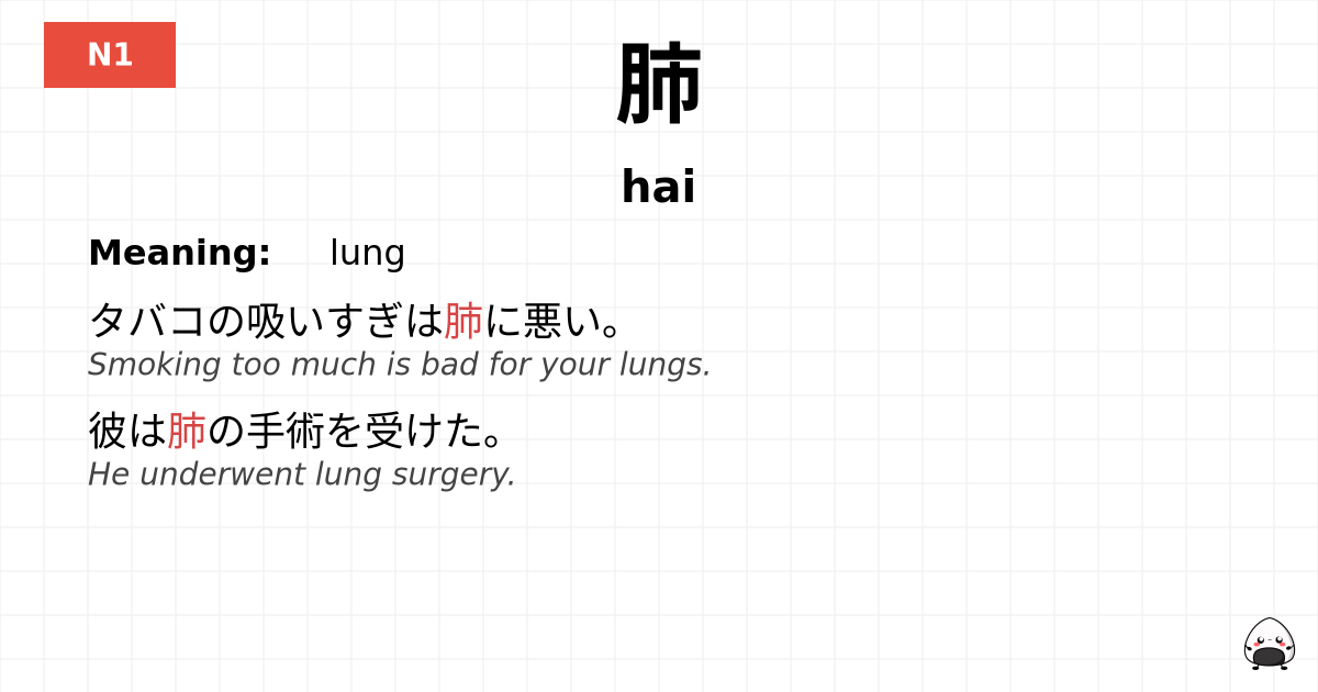 肺 flashcard