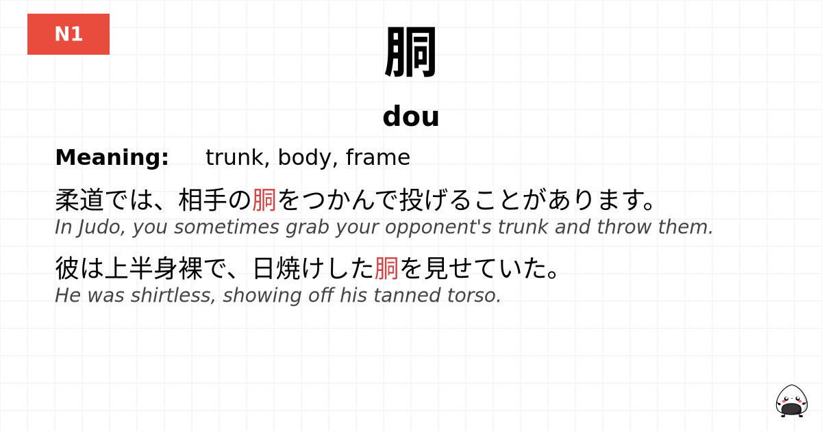 胴 flashcard