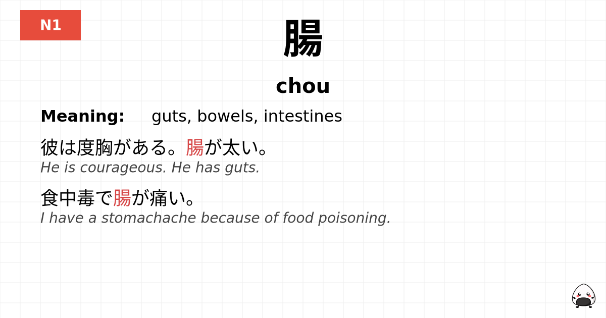 腸 flashcard