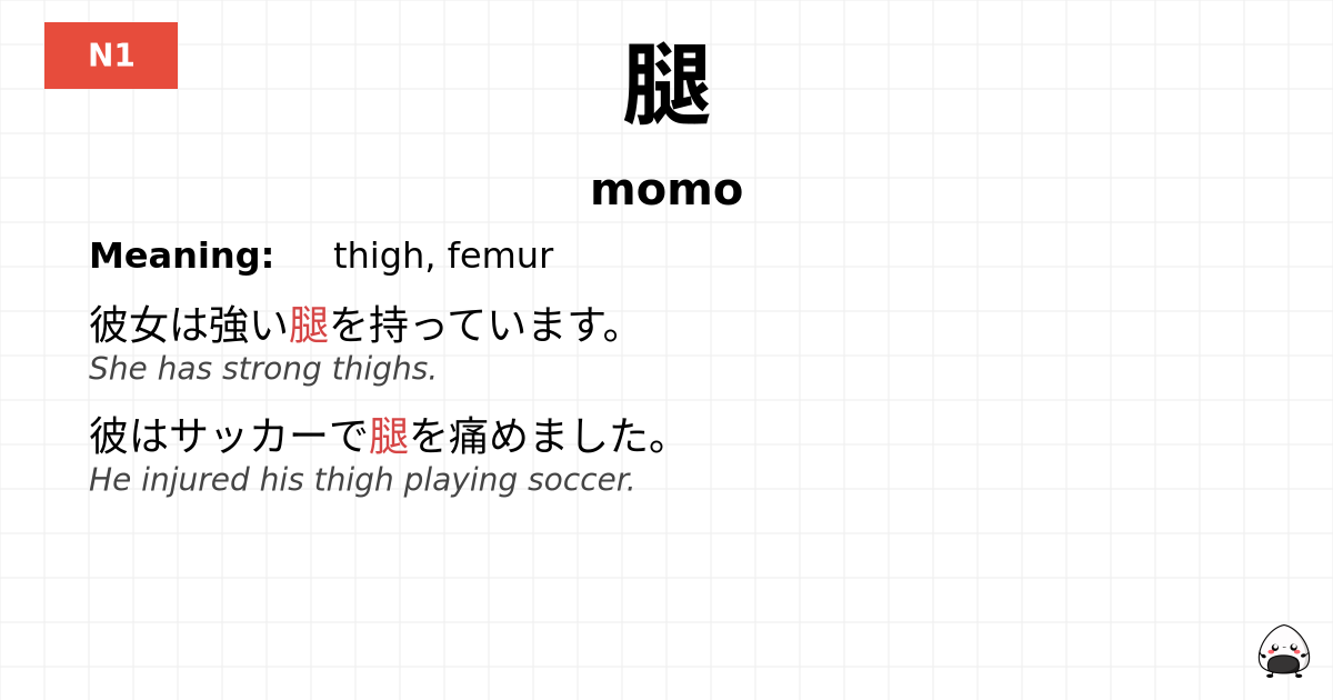 腿 flashcard