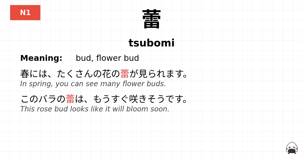 蕾 flashcard