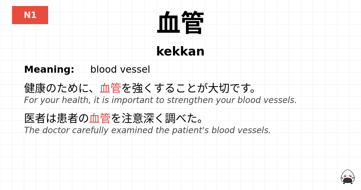 血管 flashcard