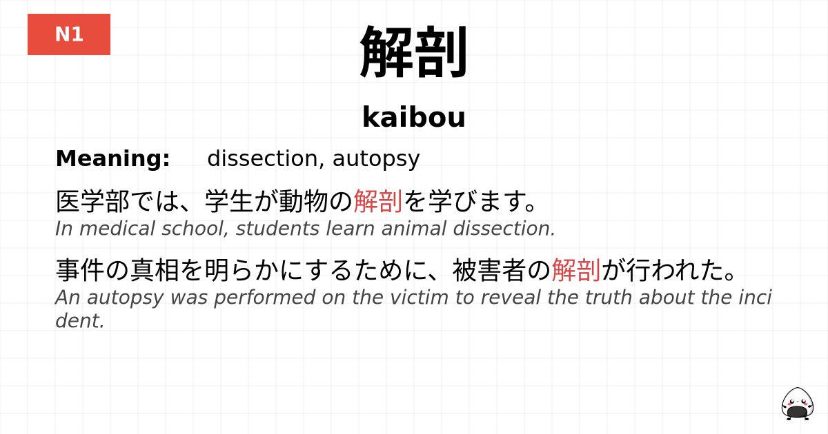 解剖 flashcard