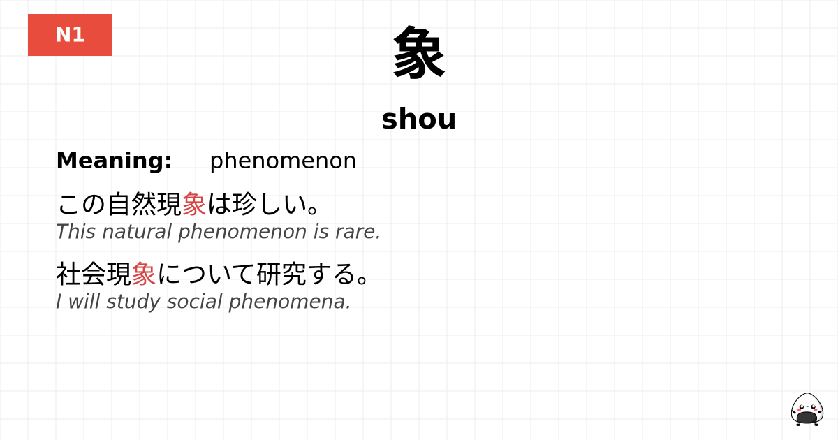 象 flashcard