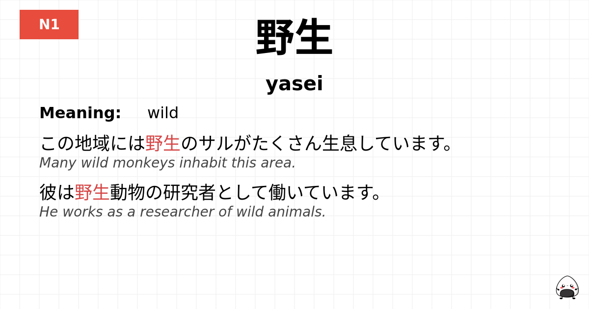 野生 flashcard