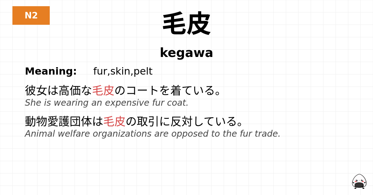 毛皮 flashcard