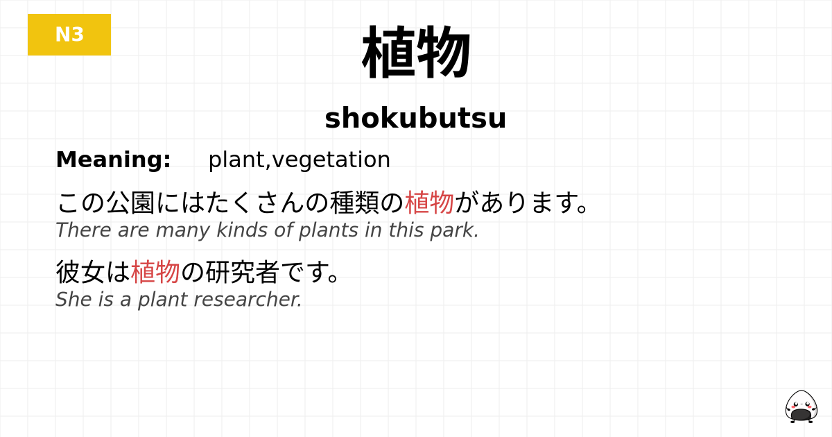 植物 flashcard