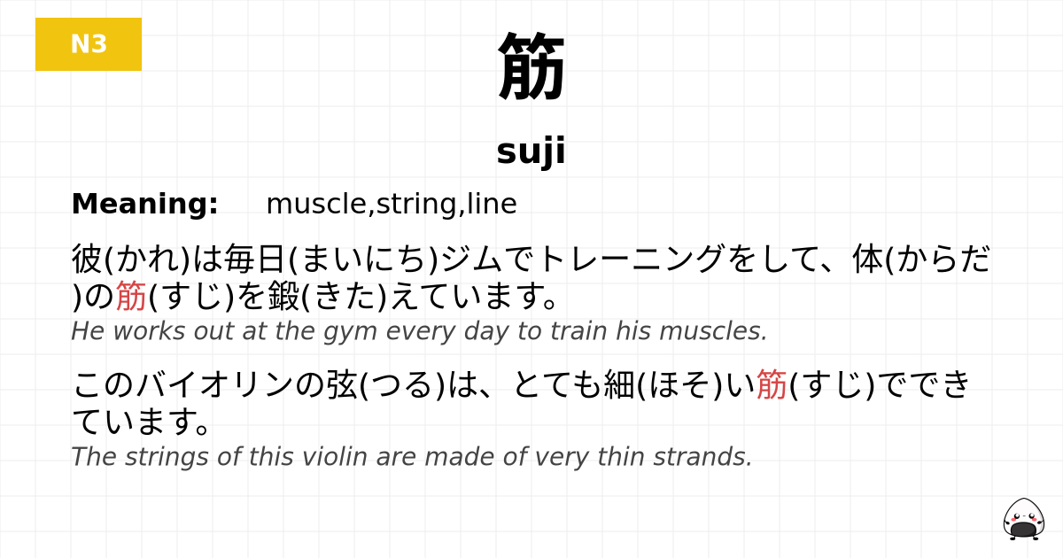 筋 flashcard