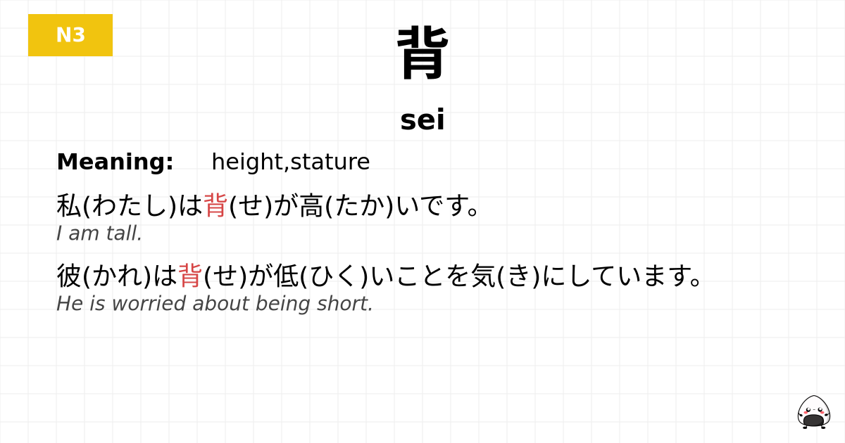 背 flashcard