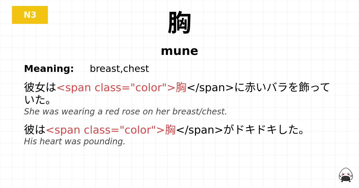 胸 flashcard