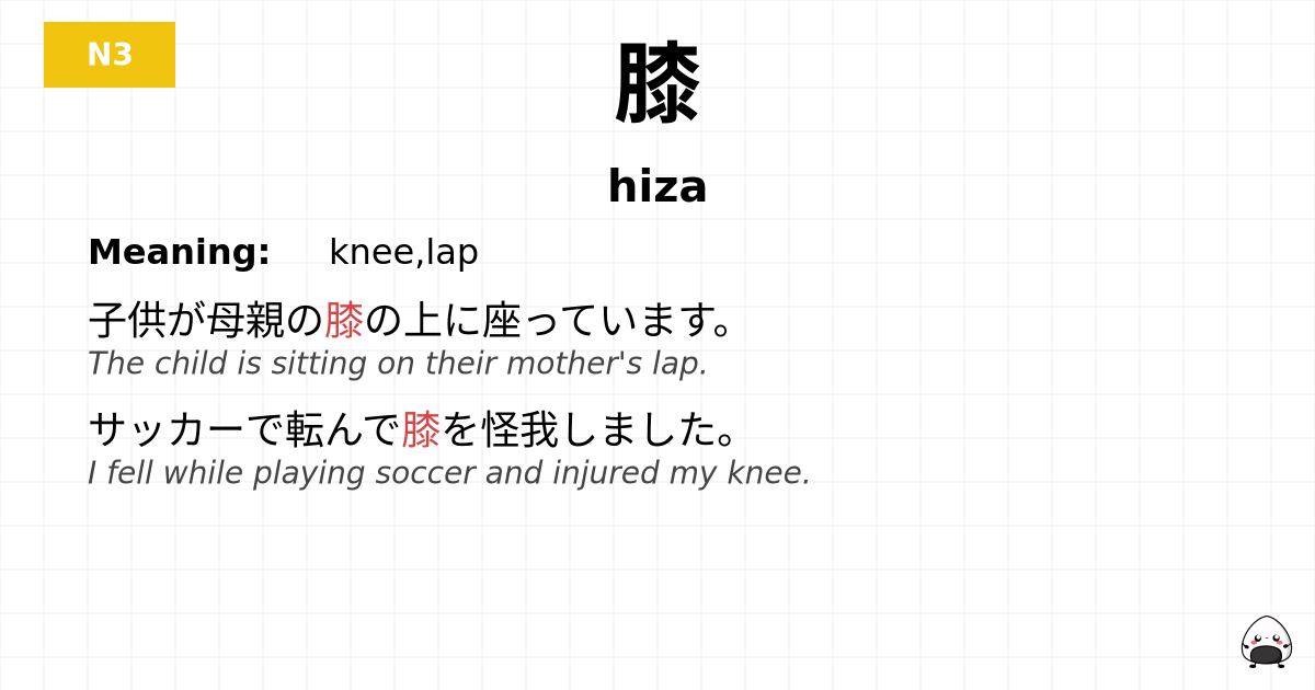 膝 flashcard