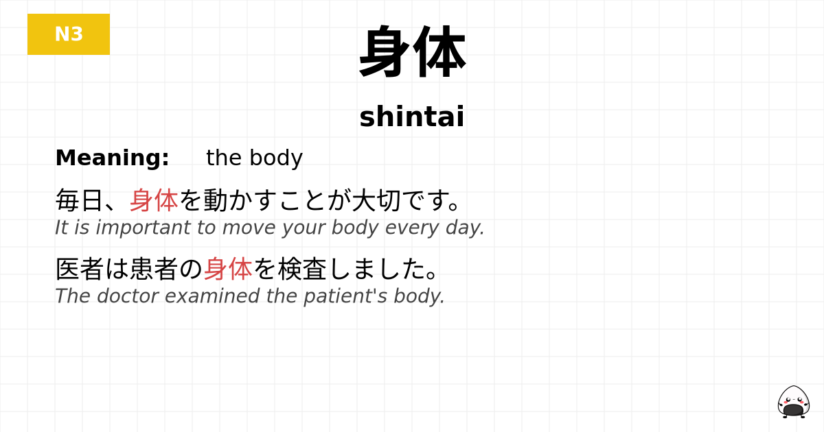 身体 flashcard