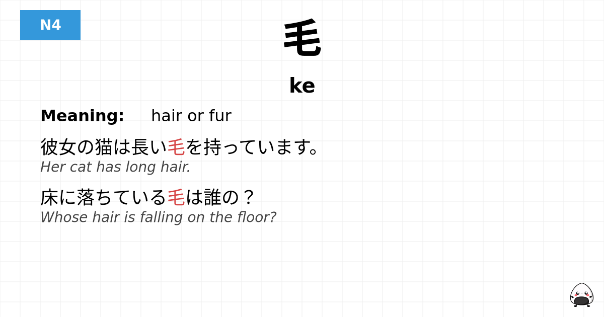 毛 flashcard