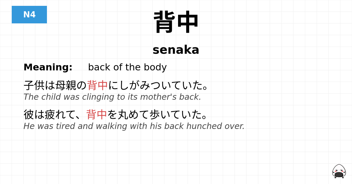 背中 flashcard