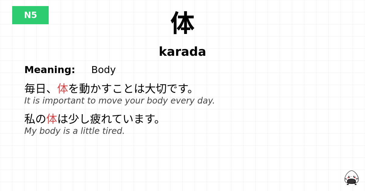 体 flashcard