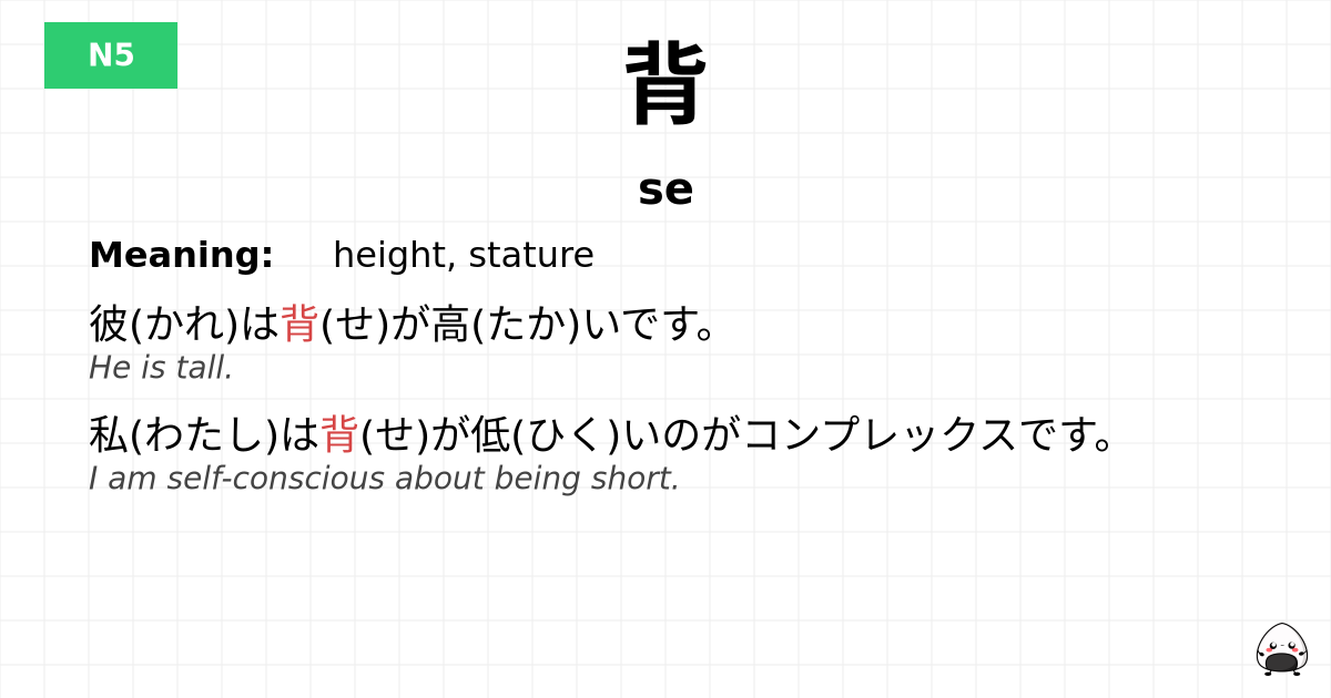 背 flashcard